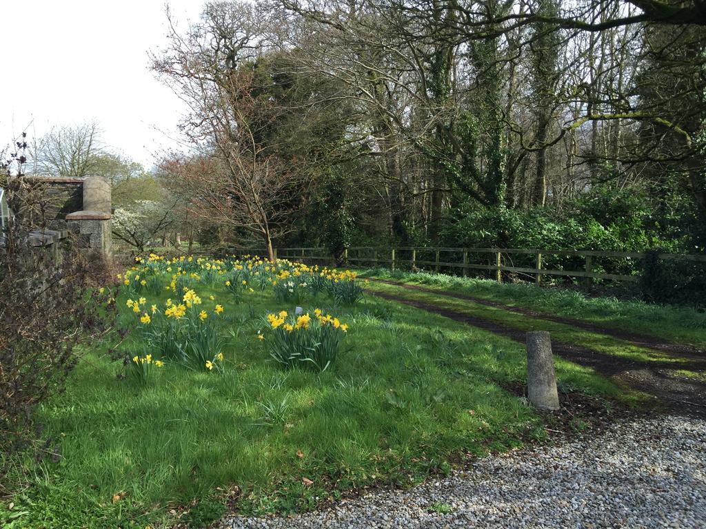 Townley Hall Apartments Slane Ruang foto